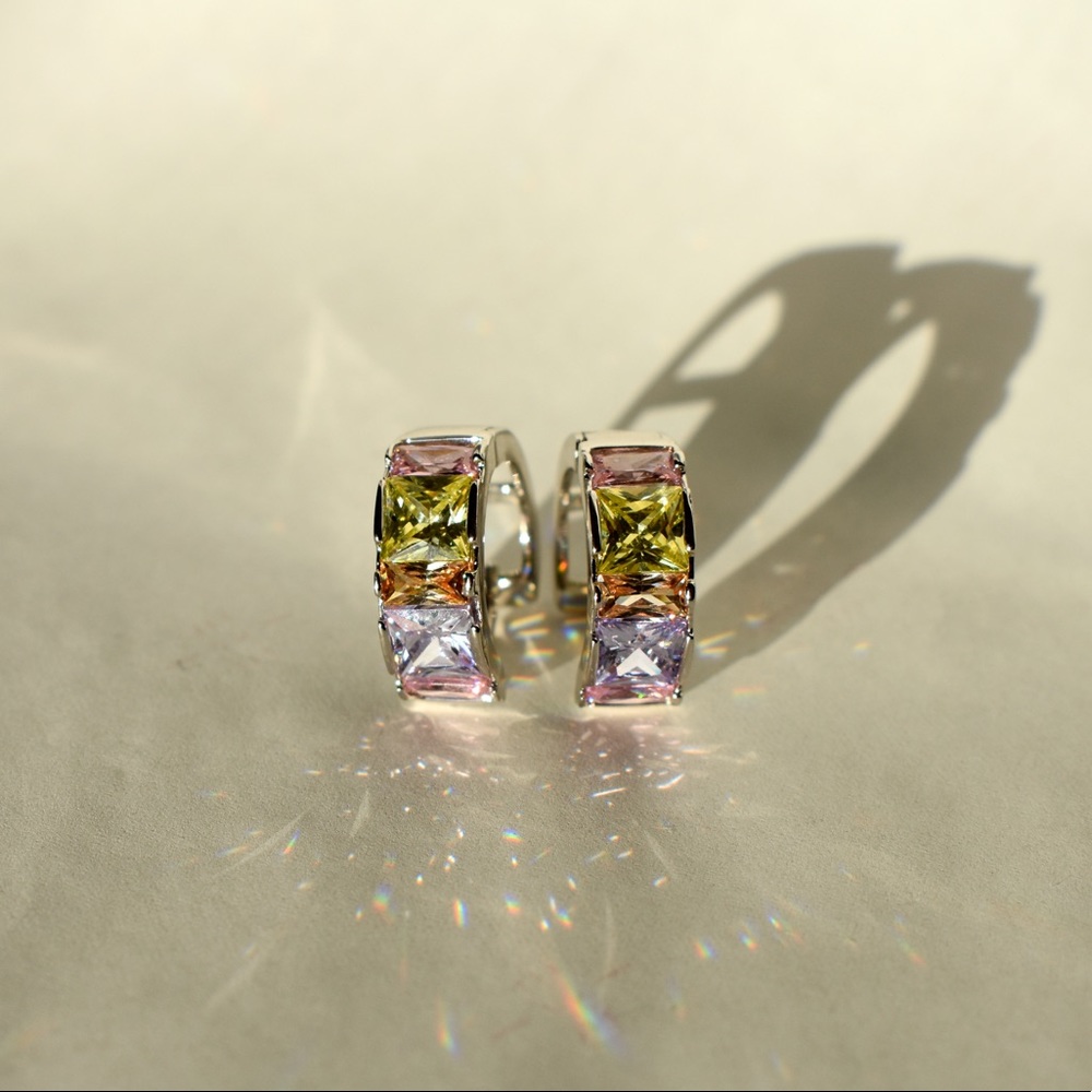 Stainless Steel Earrings